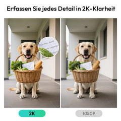 Botslab Video Doorbell R810 SE